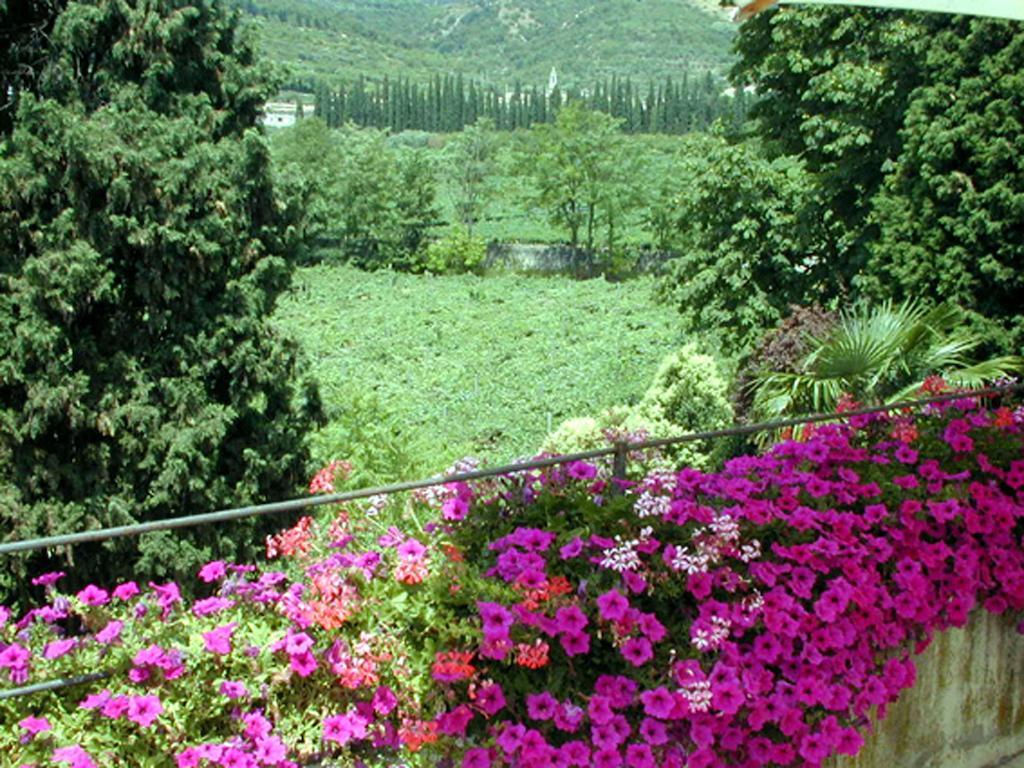 B&B Villa Monteleone SantʼAmbrogio di Valpolicella Eksteriør bilde