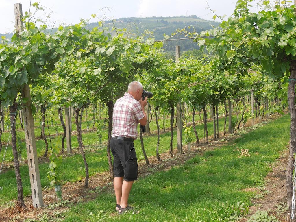 B&B Villa Monteleone SantʼAmbrogio di Valpolicella Eksteriør bilde