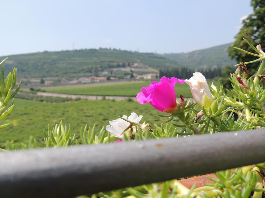 B&B Villa Monteleone SantʼAmbrogio di Valpolicella Eksteriør bilde